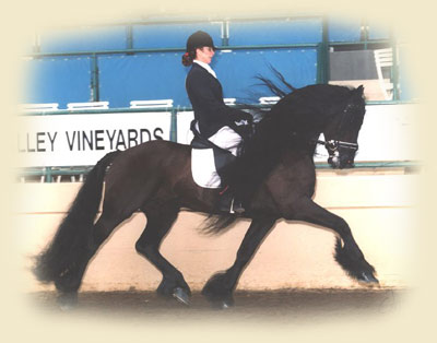 Janna Goldman and Majestic