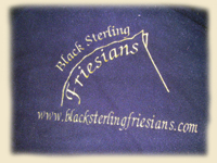 Monogrammed Friesian Cooler