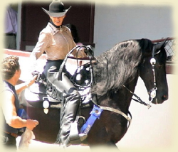 Black Sterling and Janna Goldman