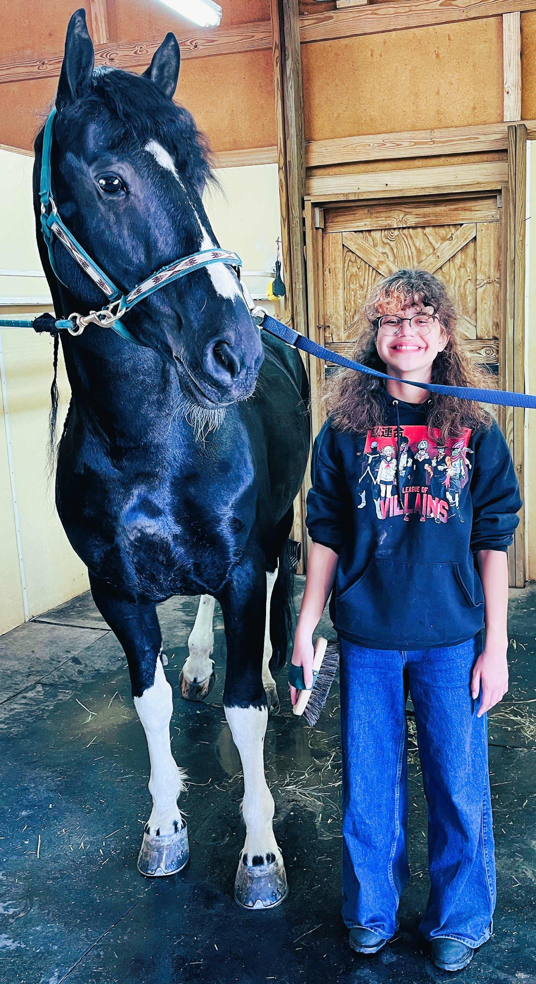 Friesian Bran - Sold