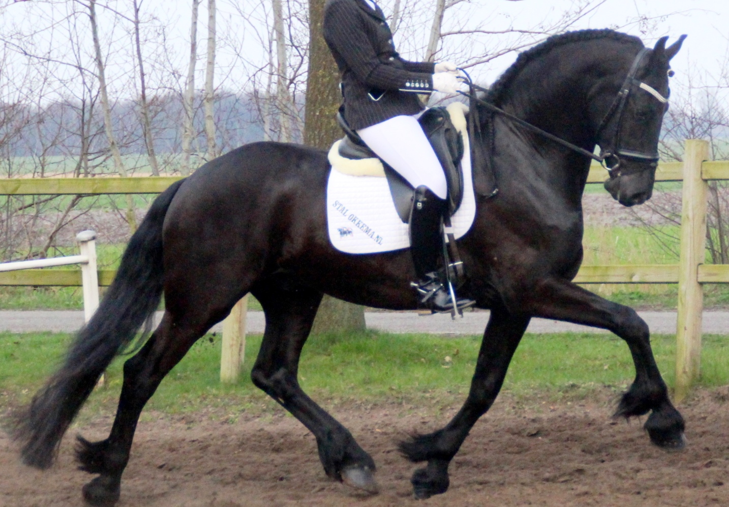 Cover photo of KOSMOS
