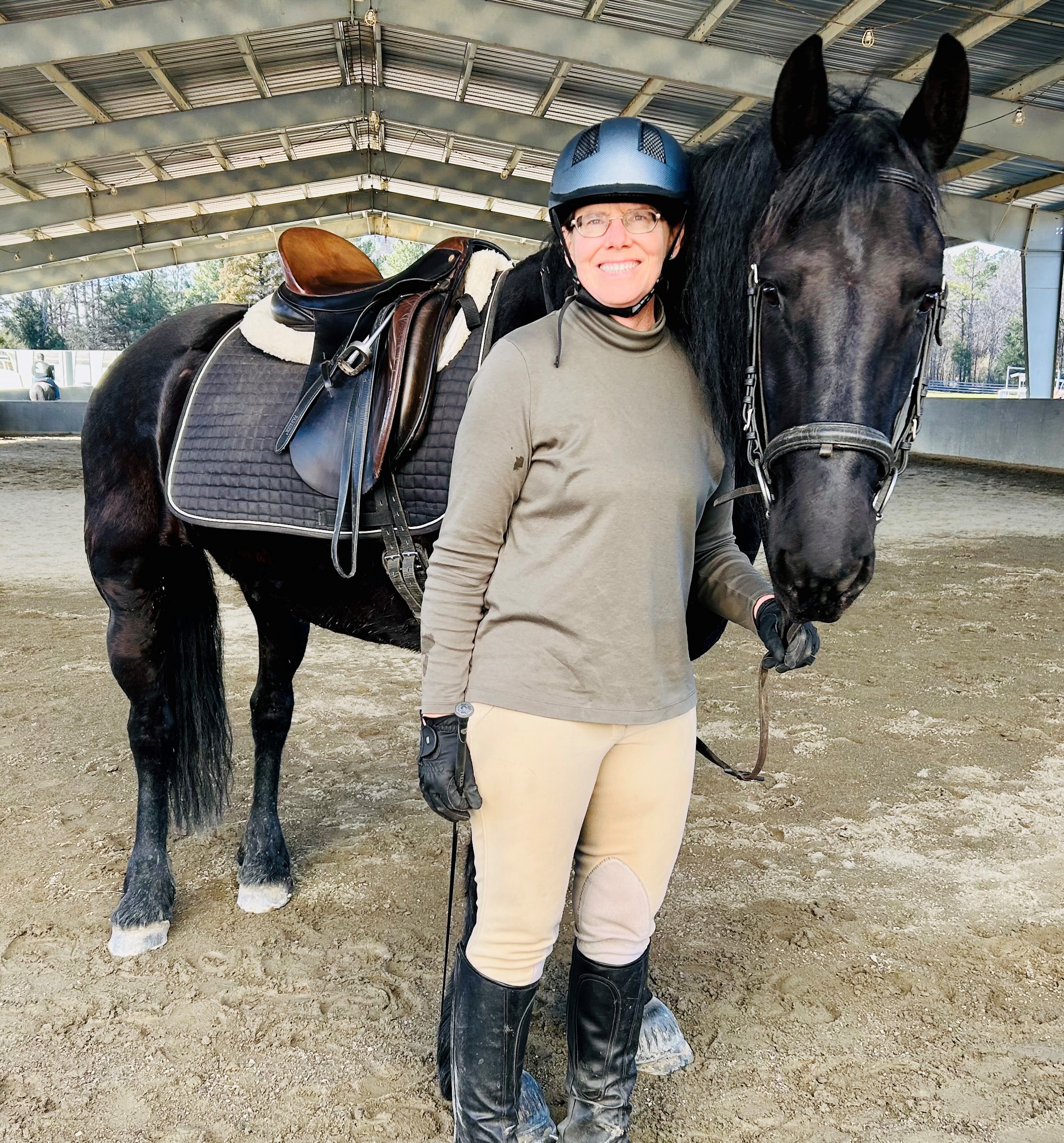 Friesian ARLO STER - Sold