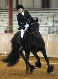 Friesian Antsje Veza - Sold