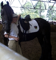 Cover photo of Aramis