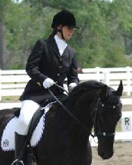 Friesian Alexa - Sold