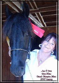 Friesian Dior - Sold