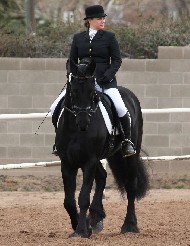 Friesian Succhi - Sold