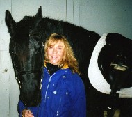 Friesian Schmoozer - Sold