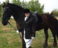 Friesian Warno - Sold