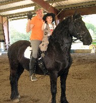 Friesian Watze-STER - Sold