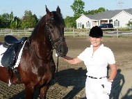 Friesian Zorro BSF - Sold