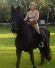 Friesian Elle - Sold