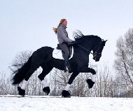 Cover photo of Dazzle