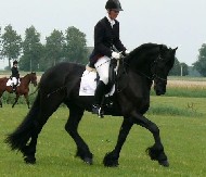 Cover photo of Elle -STER