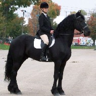 Cover photo of JOPPE STER