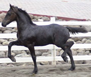 Cover photo of Mark