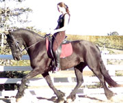 Cover photo of Reina