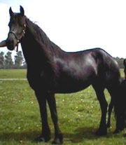 Cover photo of Rixt