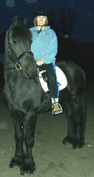 Friesian Tsjibbe - Sold