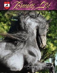 Friesian Voltare - Sold