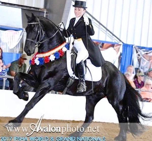 Cover photo of EROS STER SPORT