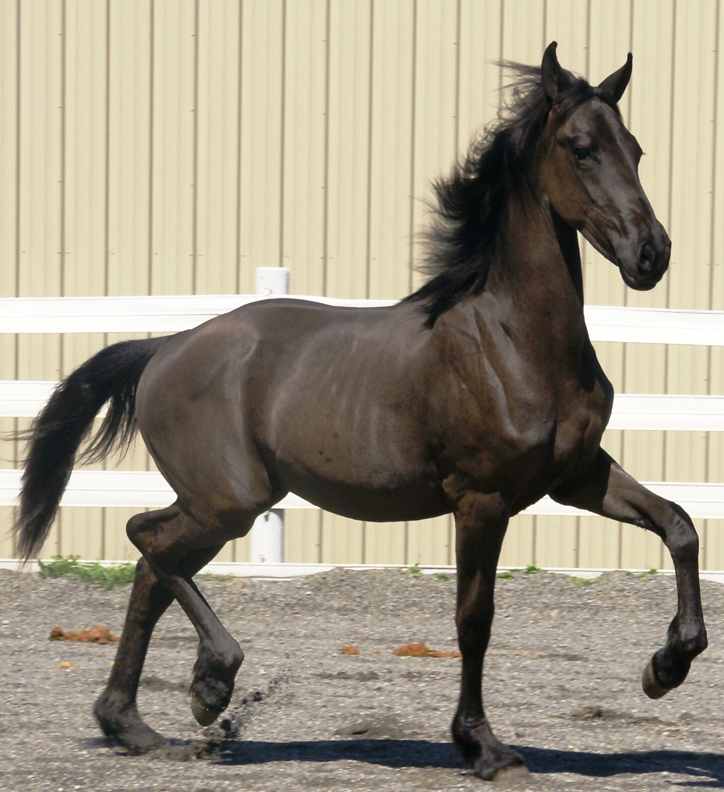 Cover photo of Helena