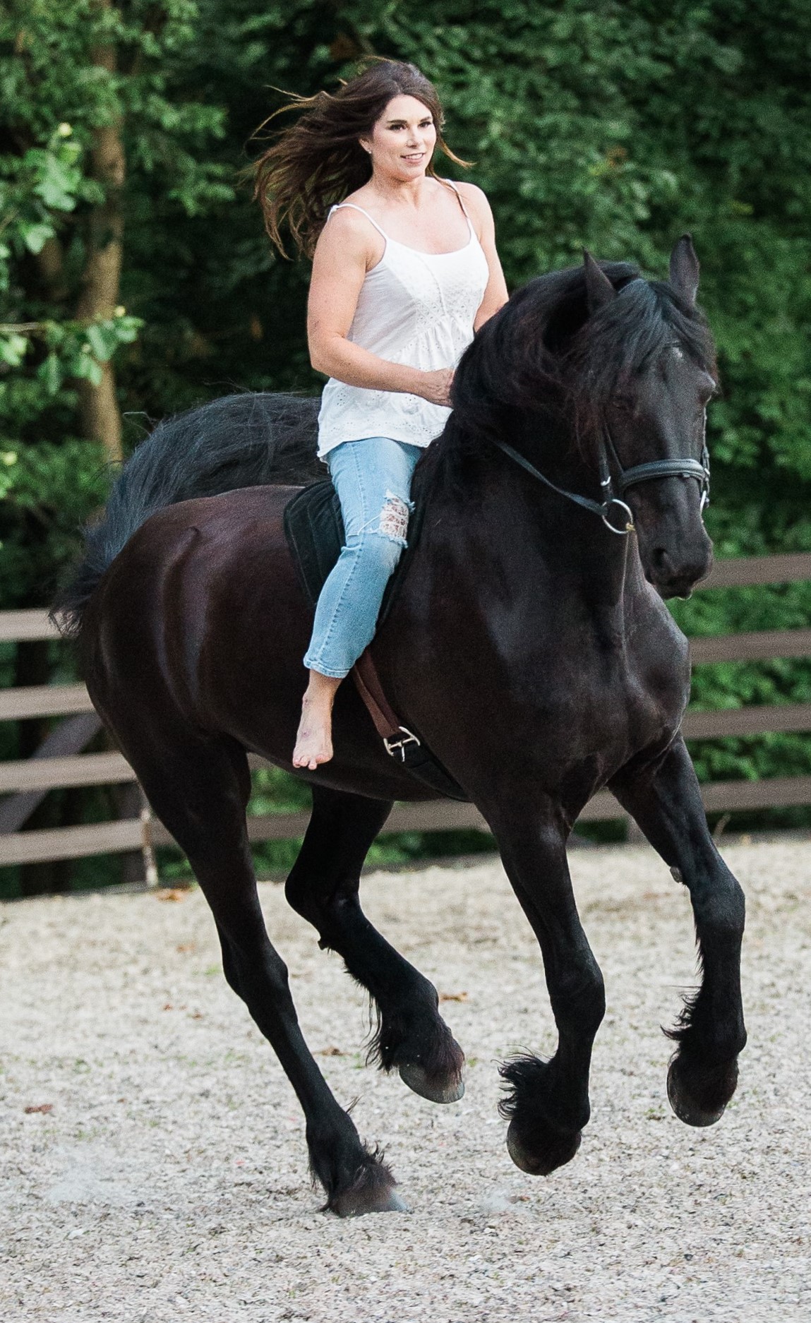 Friesian Izak SPORT - Sold