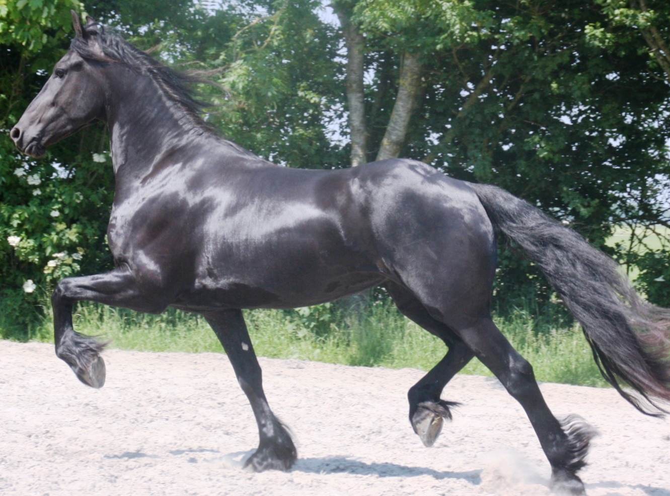 Cover photo of Lieke K