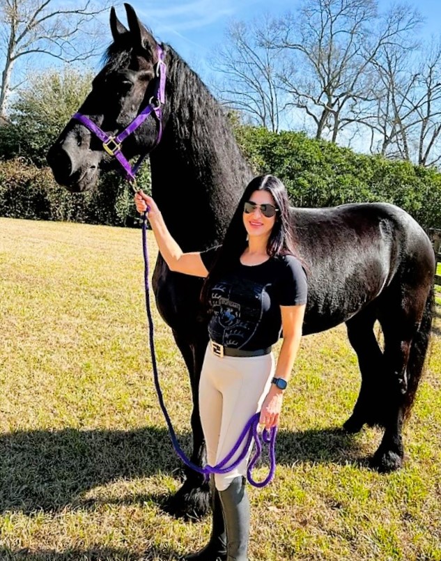 Friesian Reinold STER & SPORT - Sold