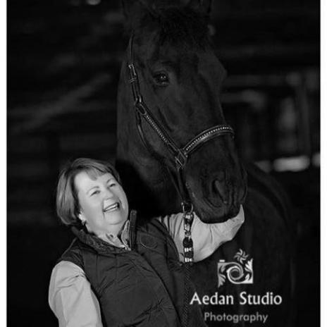 View Friesian horse purchasing details for Bas