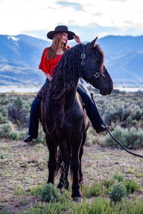 View Friesian horse purchasing details for MOOS