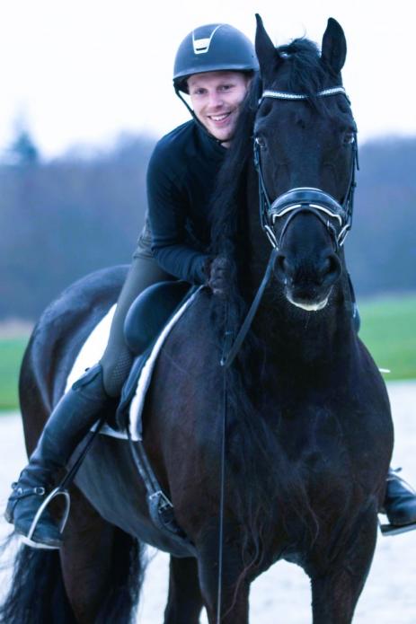 View Friesian horse purchasing details for Friso