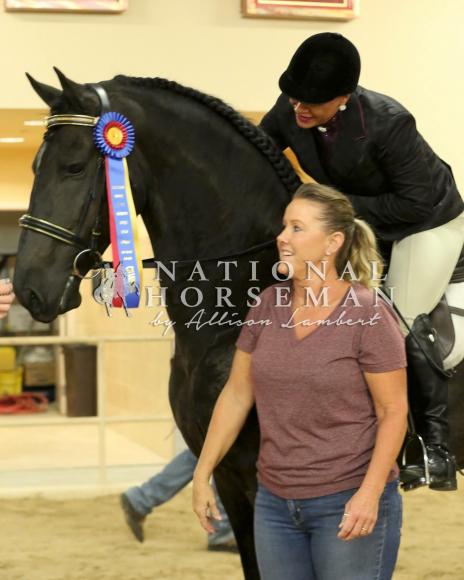 View Friesian horse purchasing details for FABIAN VABYOLA