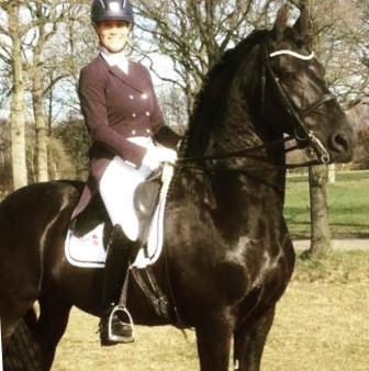 View Friesian horse purchasing details for BENKE SPORT