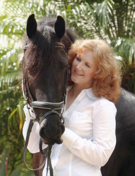 View Friesian horse purchasing details for Dotse