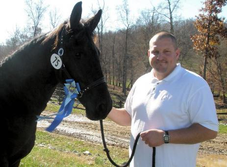 View Friesian horse purchasing details for FARAH