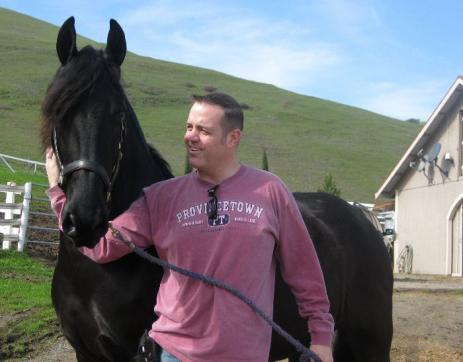 View Friesian horse purchasing details for Velvet 