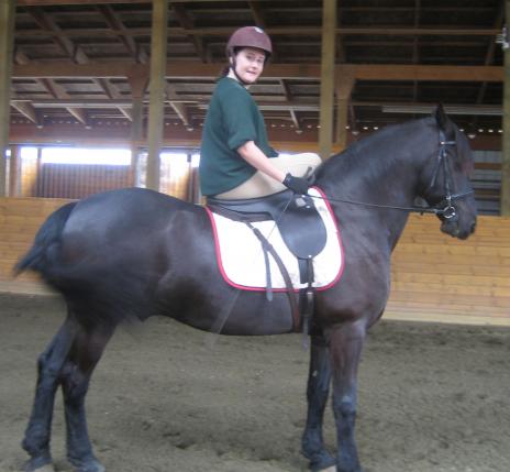 View Friesian horse purchasing details for Burma