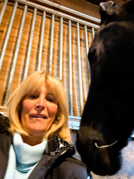 View Friesian horse purchasing details for CARMEN STER