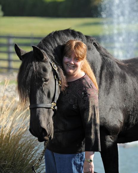 View Friesian horse purchasing details for Conan