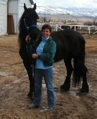 View Friesian horse purchasing details for Annabel