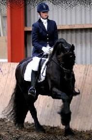 View Friesian horse purchasing details for Anton