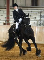 View Friesian horse purchasing details for Antsje Veza