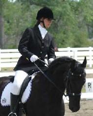 View Friesian horse purchasing details for Alexa