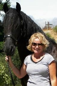 View Friesian horse purchasing details for Gosse BSF