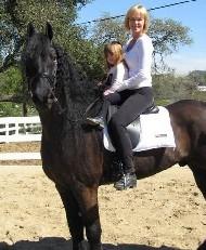 View Friesian horse purchasing details for Jack Daniels