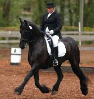 View Friesian horse purchasing details for Odette