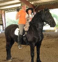 View Friesian horse purchasing details for Watze-STER