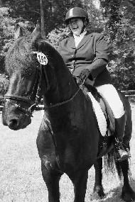 View Friesian horse purchasing details for Z Horse