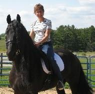 View Friesian horse purchasing details for Bulgari